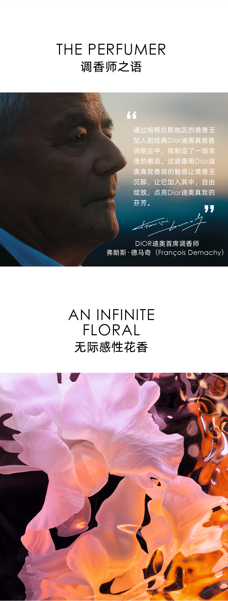 D.jpg