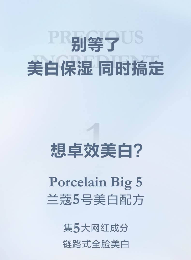 C.jpg