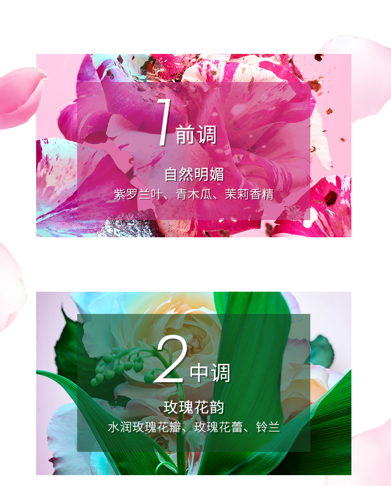B.png
